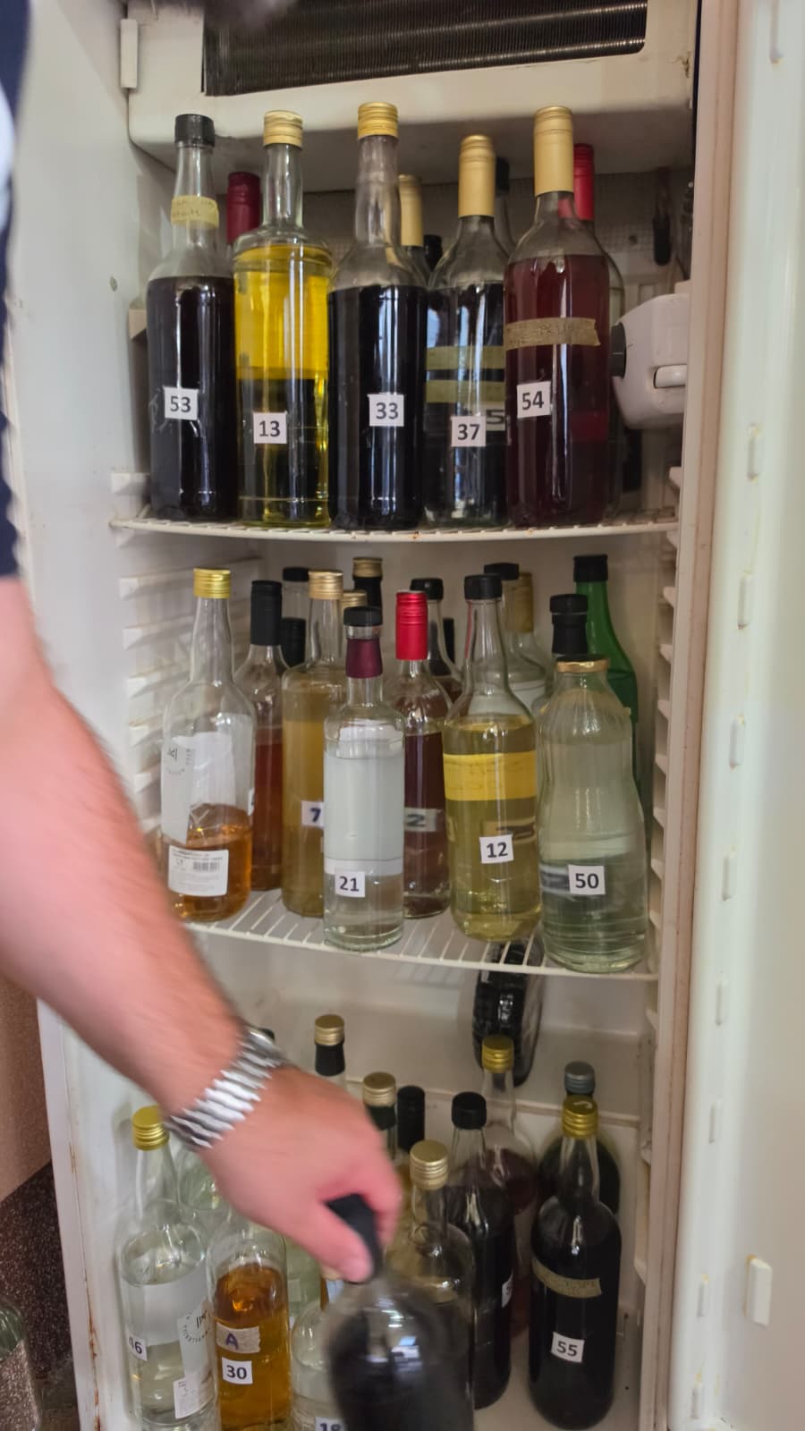 Nazdravljanje gostiju pod suncobranima