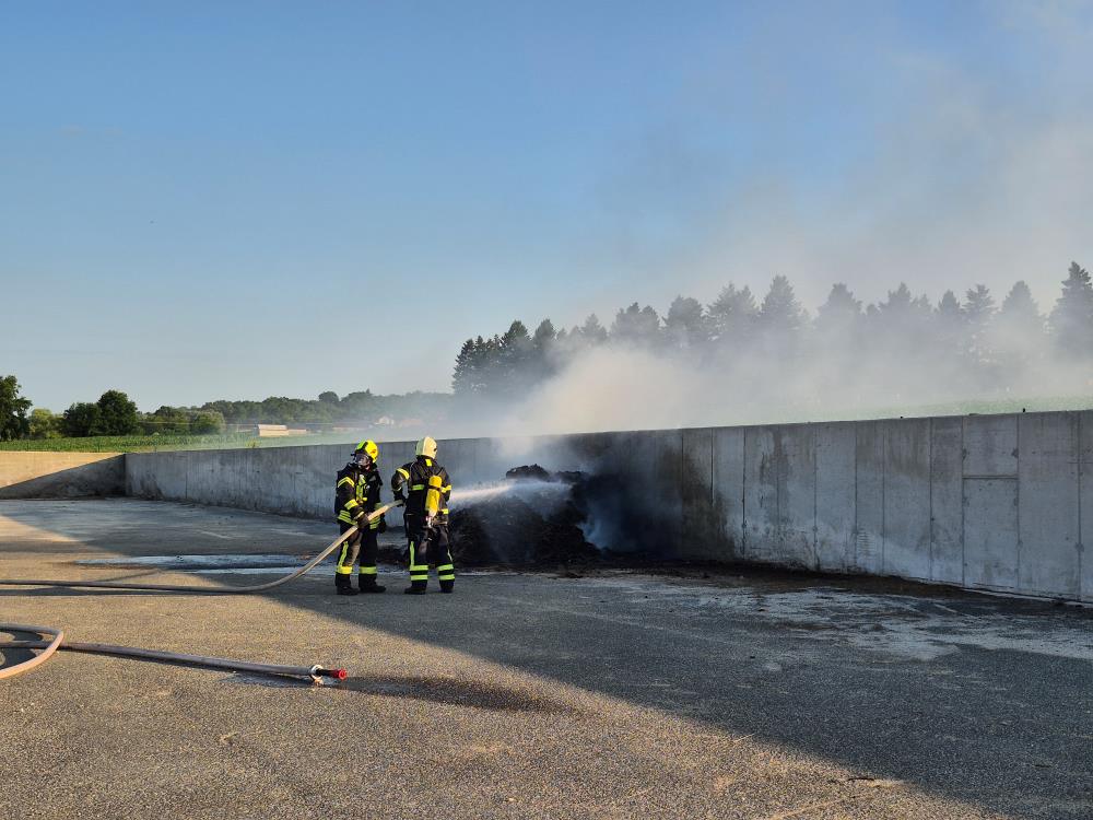 Profesionalna vatrogasna intervencija